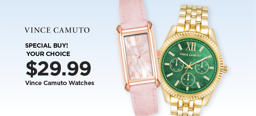 Special Buy - Vince Camuto Watches