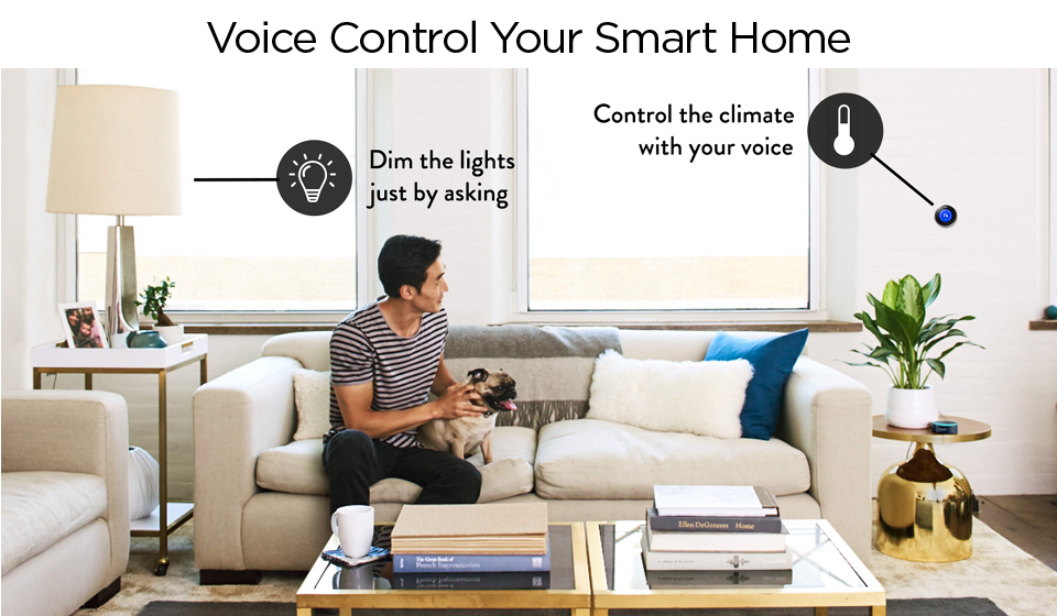 Voice control your smart home