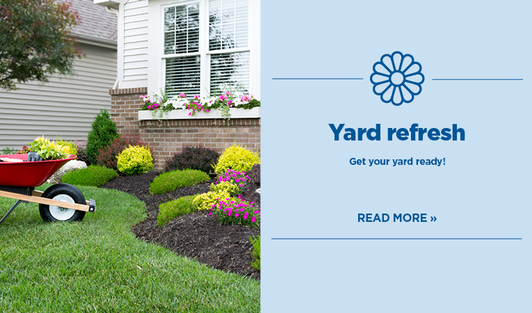 yard refresh