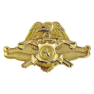 NAVY SECURITY FORCE OFFICER Full Size 24KT Gold