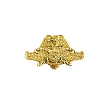 NAVY SECURITY FORCE OFFICER Miniature Size 24KT Gold