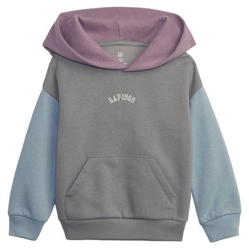 Gap Toddler Boys' Color Block Logo Hoodie