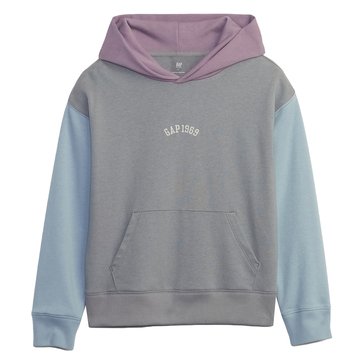 Gap Big Boys' Color Block Logo Hoodie