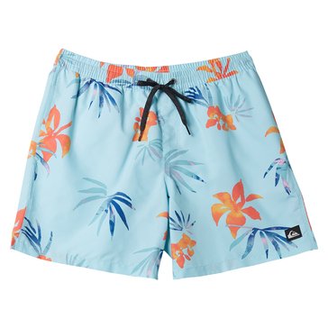 Quiksilver Big Boys' Everyday Mix Volley Boardshorts