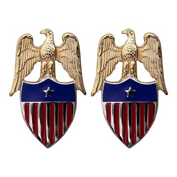 Army Insignia Regulation Size Aide To BG 1 Star