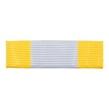 Ribbon Unit USCG Auxiliary Air Observer