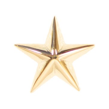Attachment USCG Gold Star 1/2